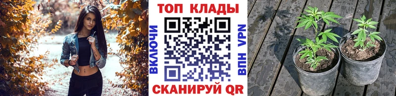 Купить наркотик аптеки Облучье ГАШИШ  A PVP  АМФЕТАМИН  Меф  Каннабис  COCAIN 