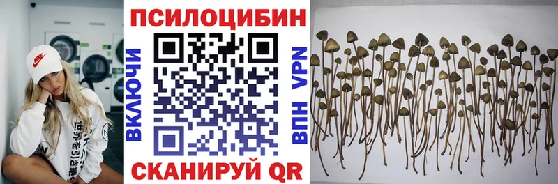 Псилоцибиновые грибы Psilocybine cubensis  KRAKEN как зайти  Облучье 