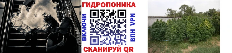 Бошки марихуана гибрид  купить наркоту  Облучье 